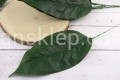 28063.JPG