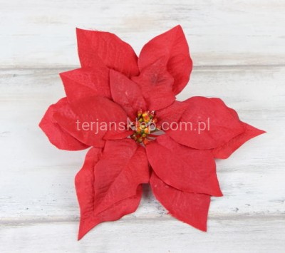 Gwiazda betlejemska H252 red