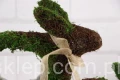 28191.JPG