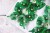 28227.JPG