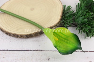Calla gumowa ANA1013 dr green 95S