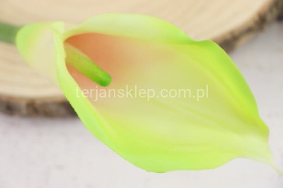 Calla gumowa ANA1013 lt green 137S