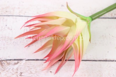 Guzmania silikonowa ANA1014 cream lt pink #17