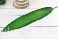 28937.JPG