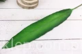 28938.JPG