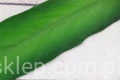 28940.JPG