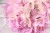 28911.JPG