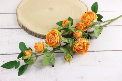 Gałąź dzikiej róży SUN663 tea #2539