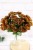 29210.JPG