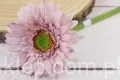 29387.JPG