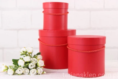 Flower box W5070 /3 (3 szt) red