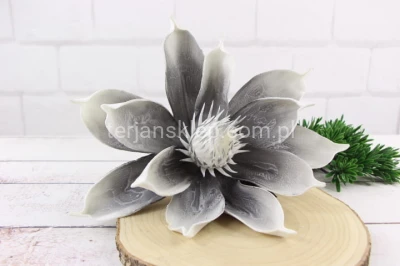 Magnolia pik pianka VIP6601 grey