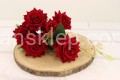 IMG_1709.JPG