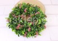IMG_1774.JPG