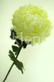 78f76140654f71905e01fb8d83000da892e125b3