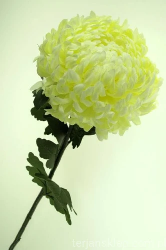78f76140654f71905e01fb8d83000da892e125b3