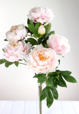Bukiet peonii SUN122 creamy powder pink #3077, ass 12