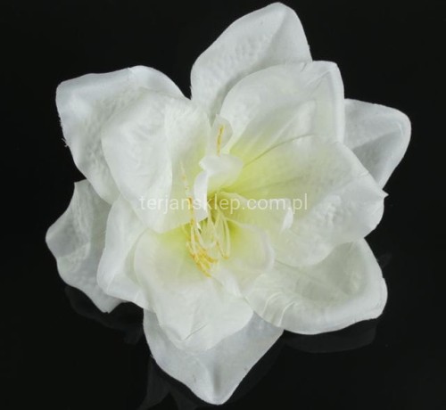 0b1b2c8251a344f2eaf381fd3bbb2d123fc4ec96