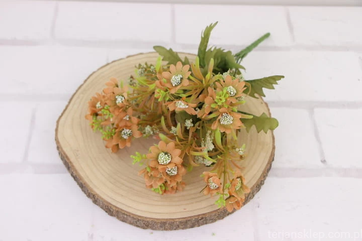 IMG_1990.JPG