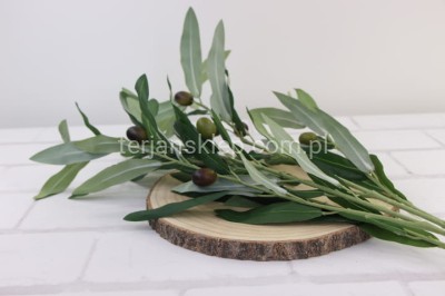 Gałąź oliwna ECO023