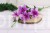 IMG_2404.JPG