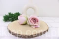 IMG_2556.JPG