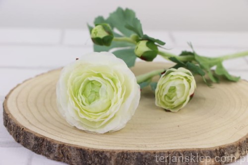 IMG_2700.JPG