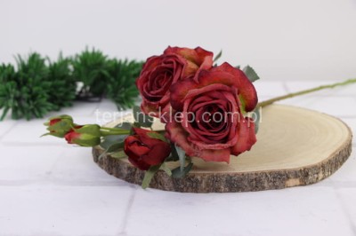 Róża gał. Charlotte (podsuszana) TAJ1001 red green