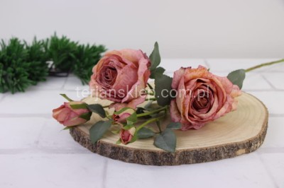 Róża gał. Charlotte (podsuszana) TAJ1001 mauve