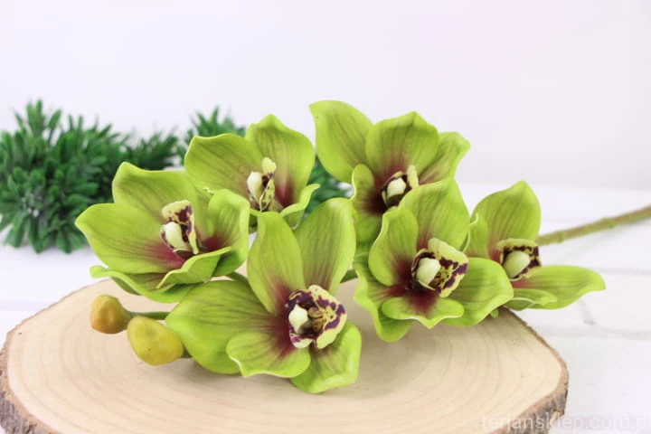IMG_2892.JPG