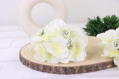 Hortensja L036 cream H01