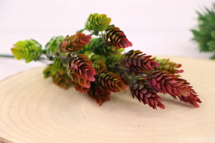 IMG_3919.JPG