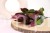 IMG_4166.JPG