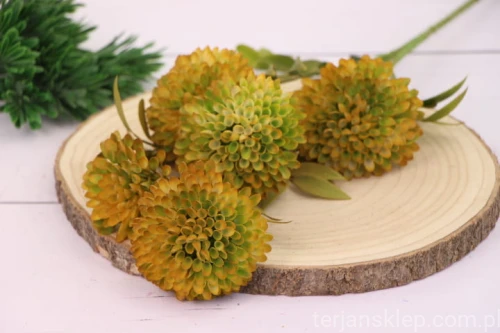 IMG_4380.JPG