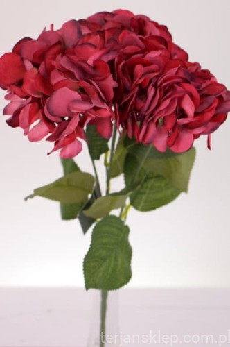IMG_4521p.JPG