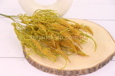 Bukiet wierzby omszałej CV36536 lt green yellow