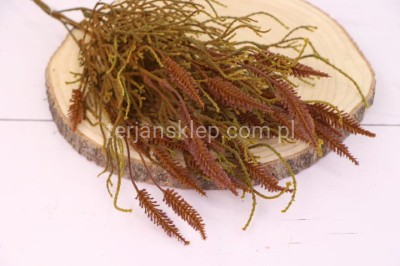 Bukiet wierzby omszałej CV36536 green brown