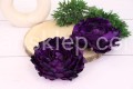 IMG_4671.JPG