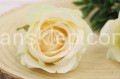 IMG_4766p.JPG