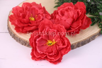 Peonia K089 (12 szt) czerwień