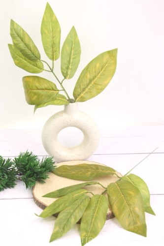 IMG_5182k.JPG