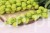 IMG_5252.JPG