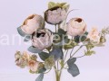 IMG_5674k.JPG
