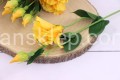 IMG_5856.JPG