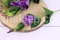 IMG_5860.JPG