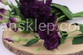 IMG_5870k.JPG