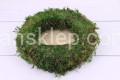 IMG_5971.JPG