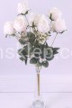 IMG_6052k.JPG
