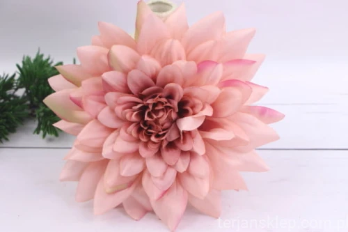 IMG_6142k.JPG