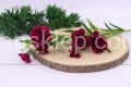 IMG_5911.JPG